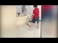 Funny Cats Annoying