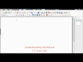 Understanding Workbook: 2.3 icon size