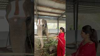 Actress Kayadu Lohar In Tirumala Ghosala