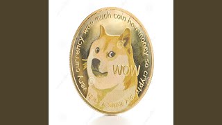 To The Moon Dogecoin (All Hail Elon Musk)