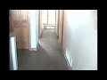 Lamb lost it's way