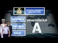 Profile STIP 2015 HD