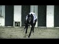 Greyhound Racing Truth