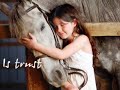 Animals - animal abuse