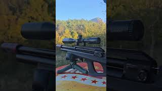 Fx Dreamline Bullpup