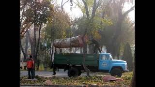 Ташкентский Сквер, Которого Больше Нет ✦ Вырубка Деревьев В Ташкенте