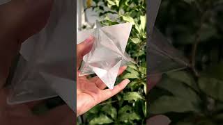 Quartz Star Mergaba