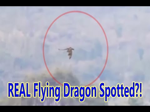 Mysterious Dragon Filmed FLYING Over Moutains in China