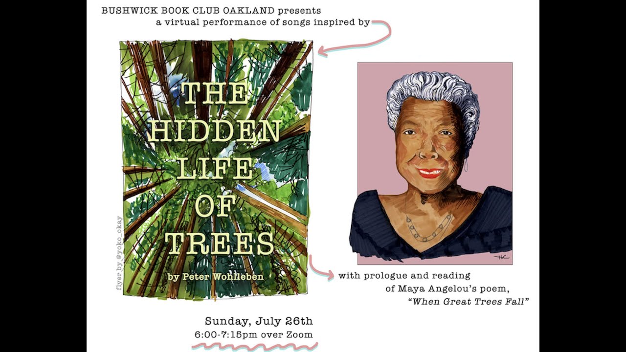 July 26, 2020: The Hidden Life Of Trees