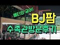 글라스장의 베타vlog - BJ팜 베타와 금어 구경하러 갔다왔어요 (수족관리뷰)