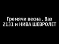 Нива, шевроле нива ,внедорожье до гремячего