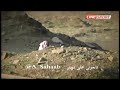 حبشي