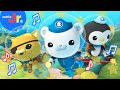 'You're a Star' Octonauts Confidence Song for Kids ⭐️ Netflix Jr Jams