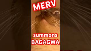Merv Summons The Great Spirit Of Thunder.