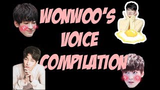 JEON WONWOO TALKING, RAPPING, SINGING ETC. (FEAT. SEVENTEEN) || ???