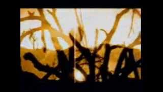 Watch Neurosis From Where Its Roots Run video