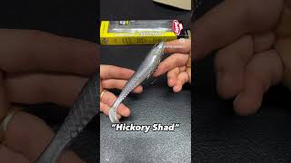 New Cullshad Color Hickory Shad At