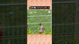 0y8c5F2yLDI Video Image