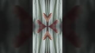 Mirror Hand Effects