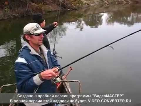 что клюет в марте на десне что клюет в марте на десне