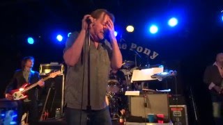 Watch Southside Johnny The Asbury Jukes She Got Me Where She Wants Me video