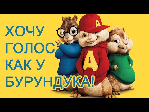 Как сделать тоненький голосок как у бурундуков Как сделать тоненький голосок как у бурундуков