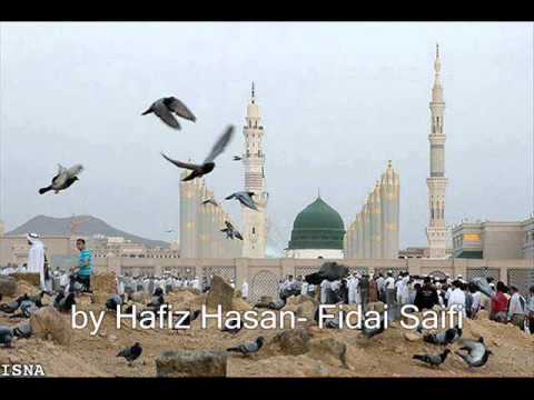 Ya Nabi Sab karam-New Saifi naat by Hafiz Hasan- Fidai Saifi
