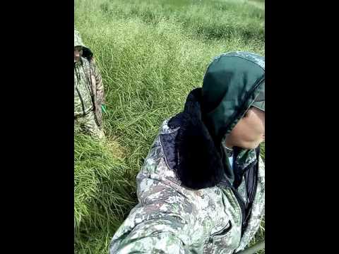 омская рыбалка форум оша омская рыбалка форум оша