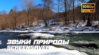 Живая Природа - Река | Звуки Природы | Звуки Реки | Шум Воды | Белый Шум | Релаксация | Антистресс