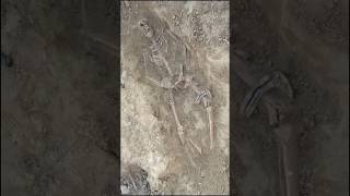 Encuentran A Un Soldado Alemán Muerto Con Torniquetes Y Condones