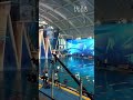(fancam) 130711 barefoot friends diving 3m springboard competition byRella Kim Hyun Joong