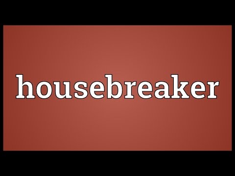 Header of housebreaker