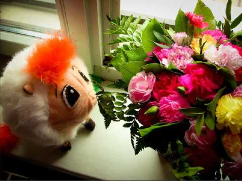 horton hears who katie. Meet Katie - Horton Hears A