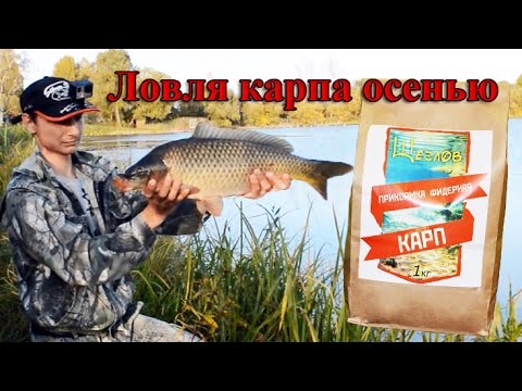 карп ловля на фидер осенью карп ловля на фидер осенью