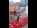 risas de america 6