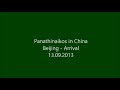 Panathinaikos in China - Arrival, Shang Family, Cameras