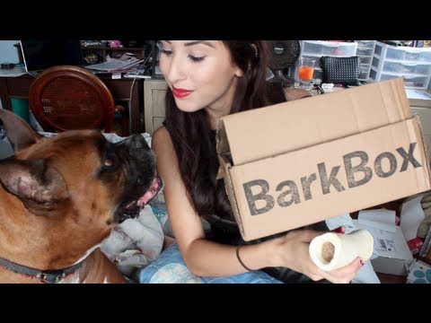 barkbox for dogs barkbox review april 2013 subscription box for dogs how to save money and do it barkbox for dogs barkbox review april 2013 subscription box for dogs how to save money and do it