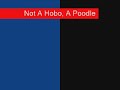 Not A Hobo, A Poodle