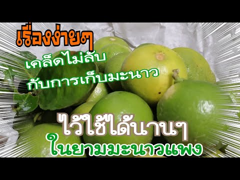 เคล็ดไม่ลับแบบง่ายๆ ในการเก็บมะนาวไว้ใช้ได้เป็นเดือนๆ @alisa_80429