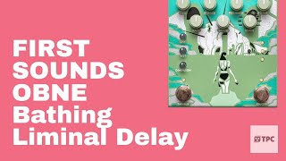 First Sounds Old Blood Noise Endeavors Bathing Liminal Delay