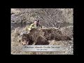 Aleutian Islands Guide Service - Alaska Trophy Hunting