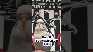 Muhabbet Kuşum Konuşmaya Başlarsa 🤍🖤 şampiyon Beşiktaş