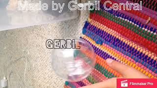 Petco Haul Gerbil Central