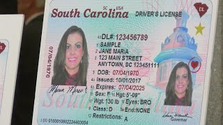 Real Id Delayed Again