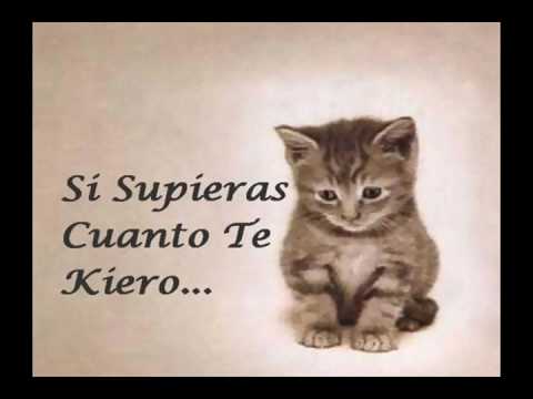 jose feliciano tu me haces falta jose feliciano tu me haces falta youtube jose feliciano tu me haces falta jose feliciano tu me haces falta youtube