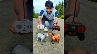 Notun Duita Rc Horse Remote Control Horse Testing
