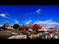 My neighborhood by Mark White