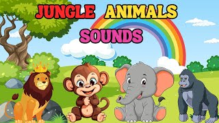 . Jungle Animals Sounds Song Roar, Growl & Pawoo Fun For Kids