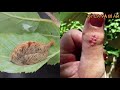 Nếu gặp 10 loài vật kỳ lạ này bạn phải chạy thật nhanh nếu muốn sống