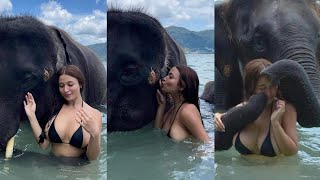 SWIMMING WITH ELEPHANTS IN PHUKET THAILAND